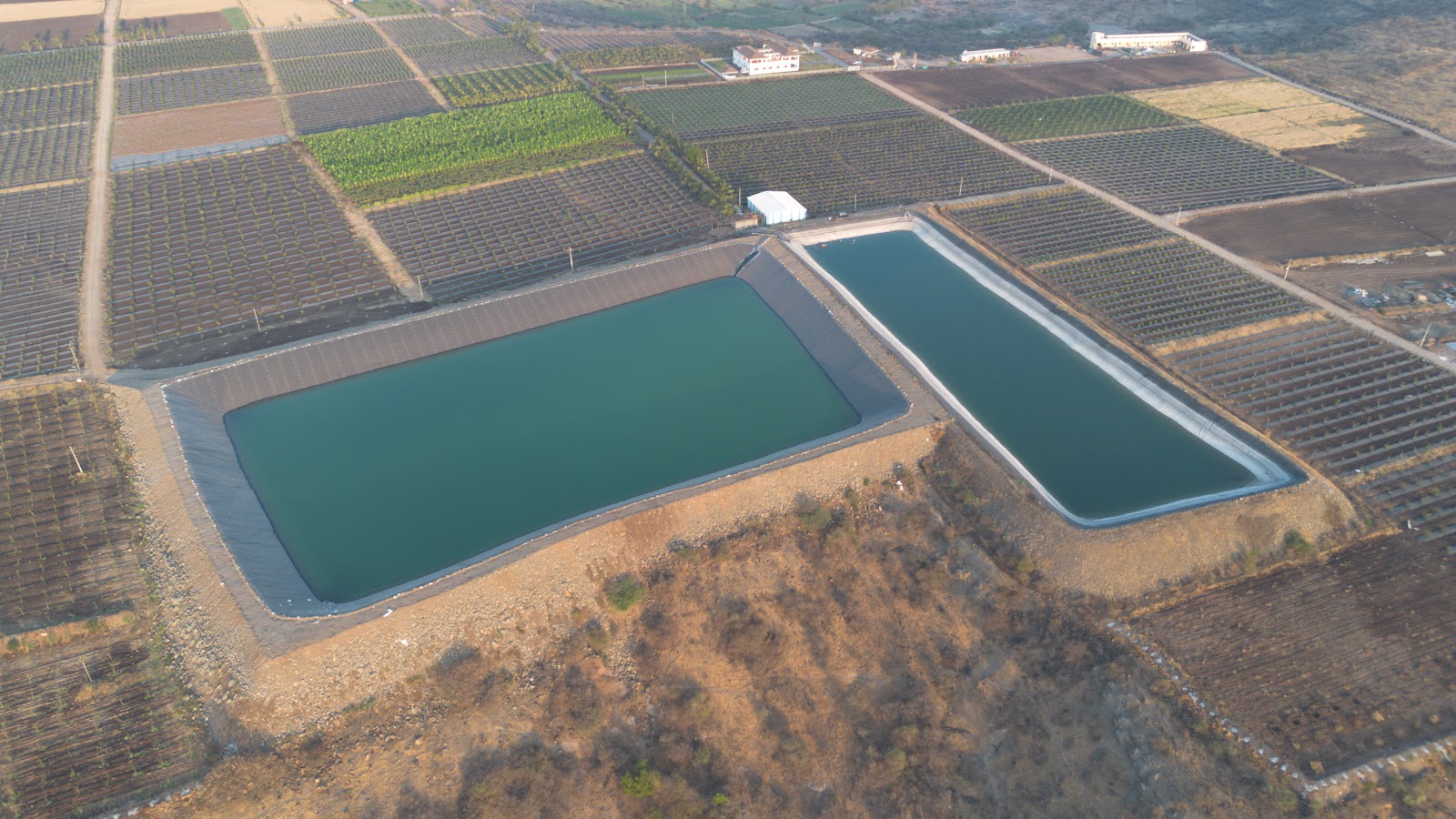 Farm Pond