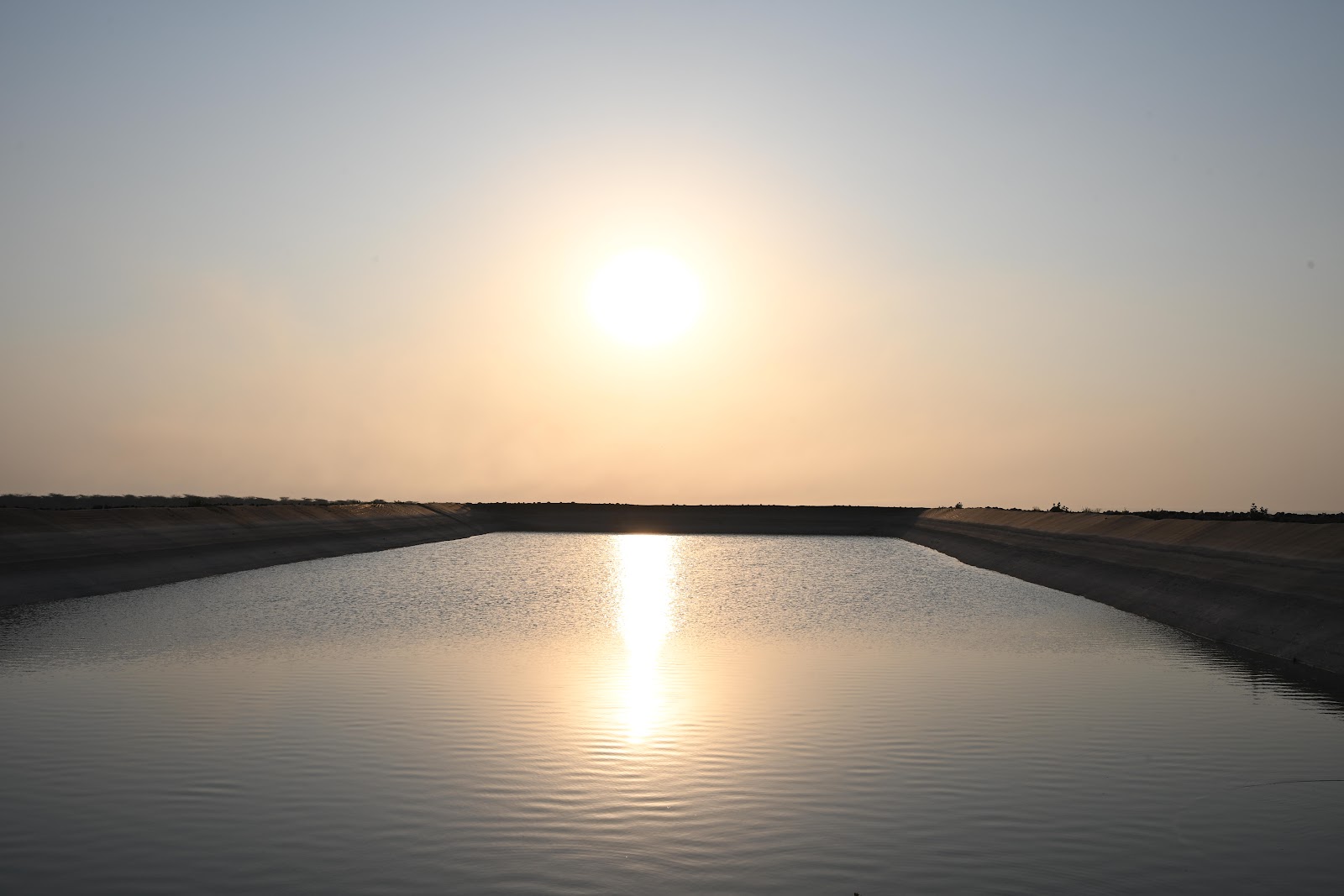 Farm Pond