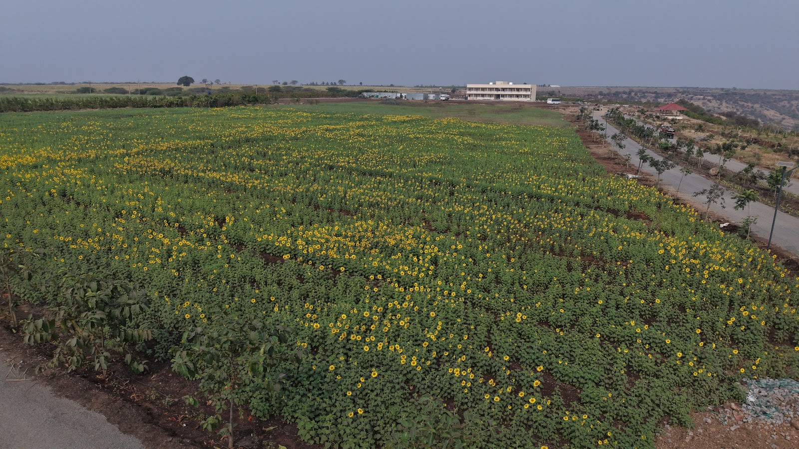 Krishi Vanam