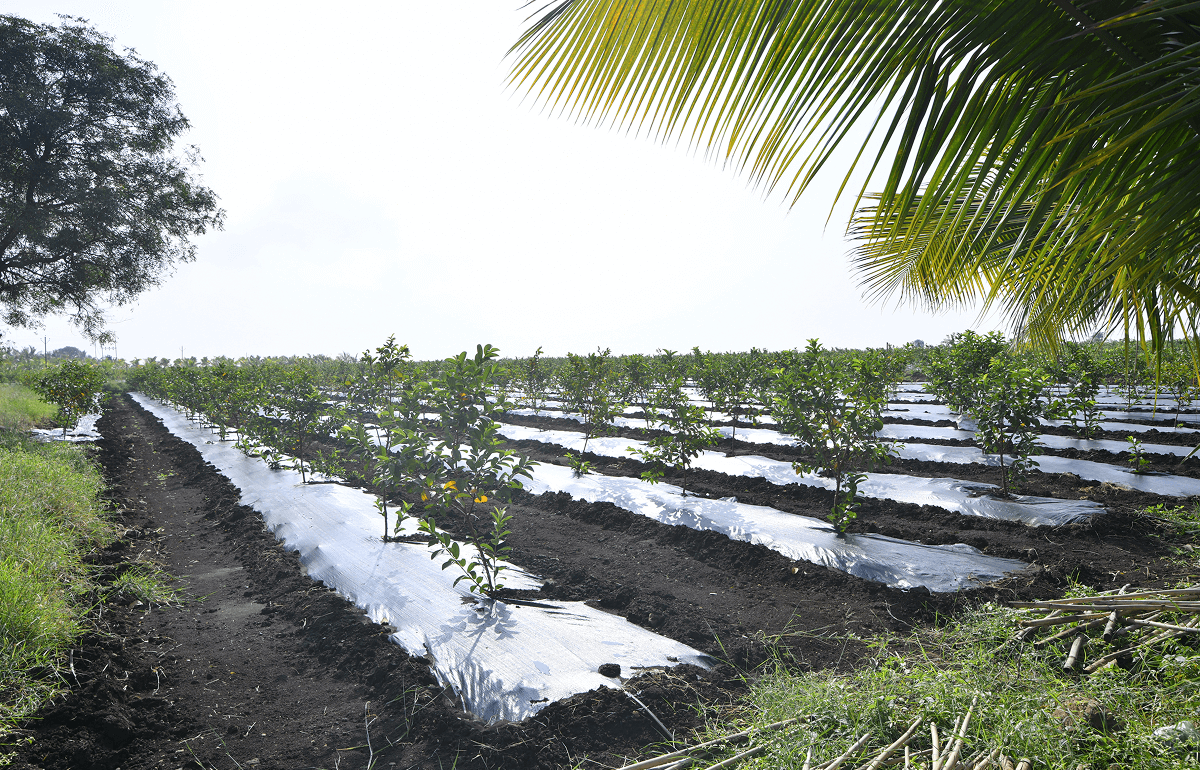 Agriculture and Nature at LTC