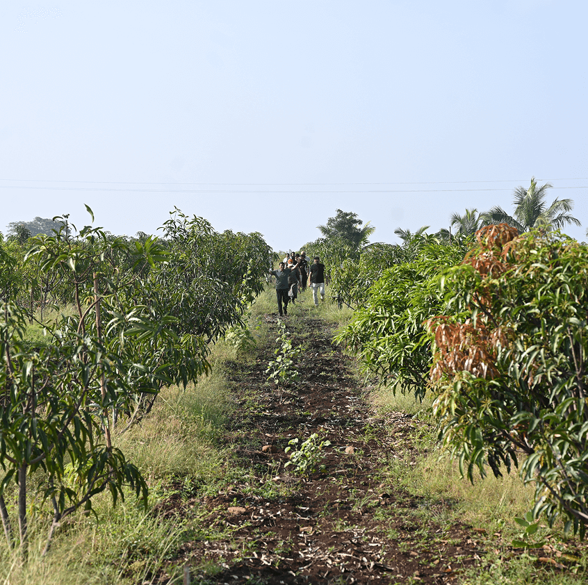 Agriculture and Nature at LTC