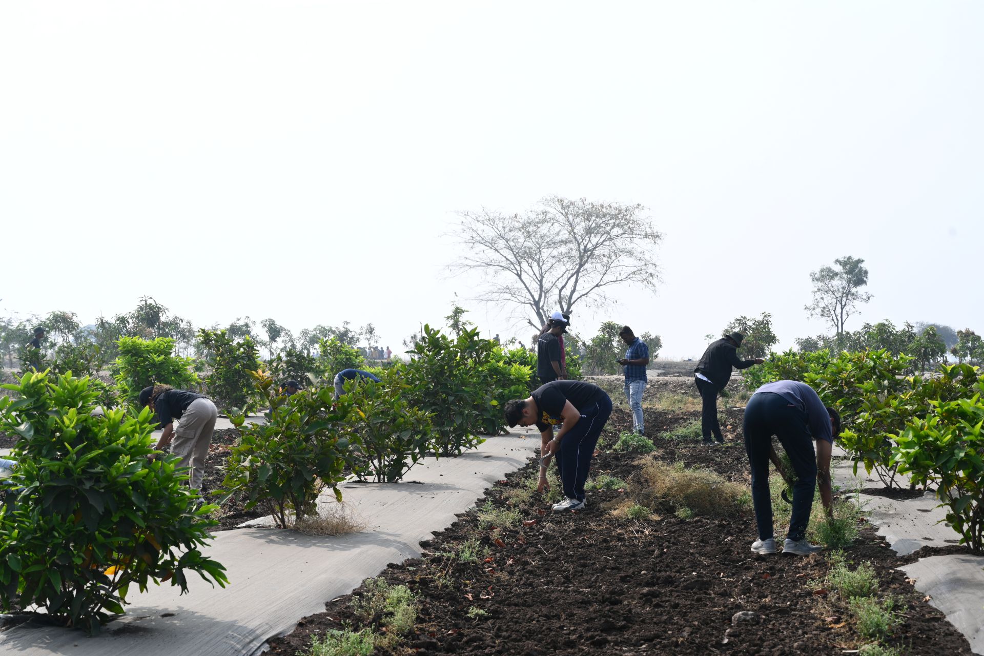 Connecting the soul to the soil at LTC