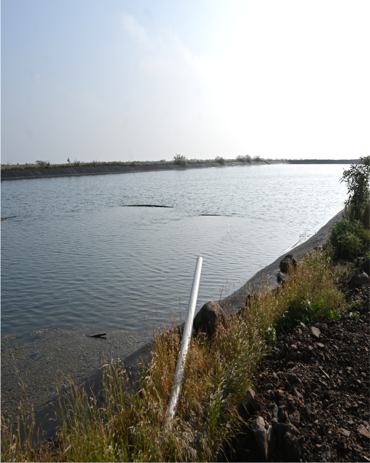 Farm Pond