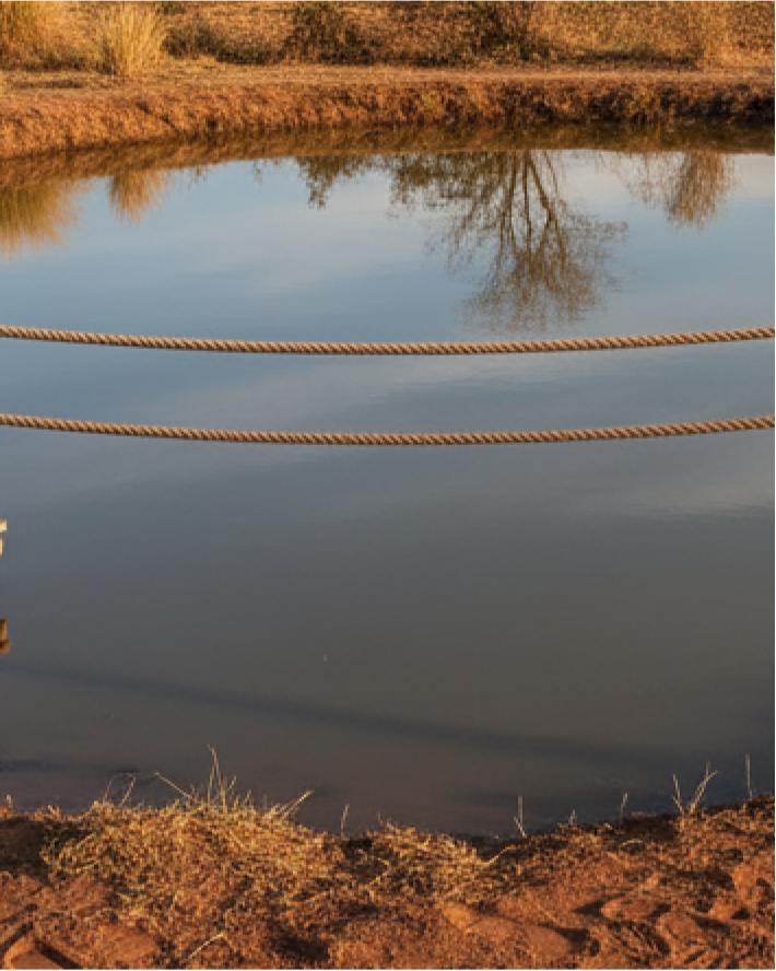 Farm Pond