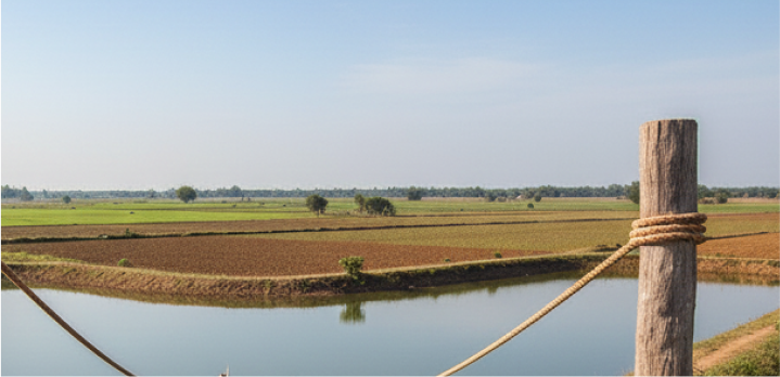 Farm Pond